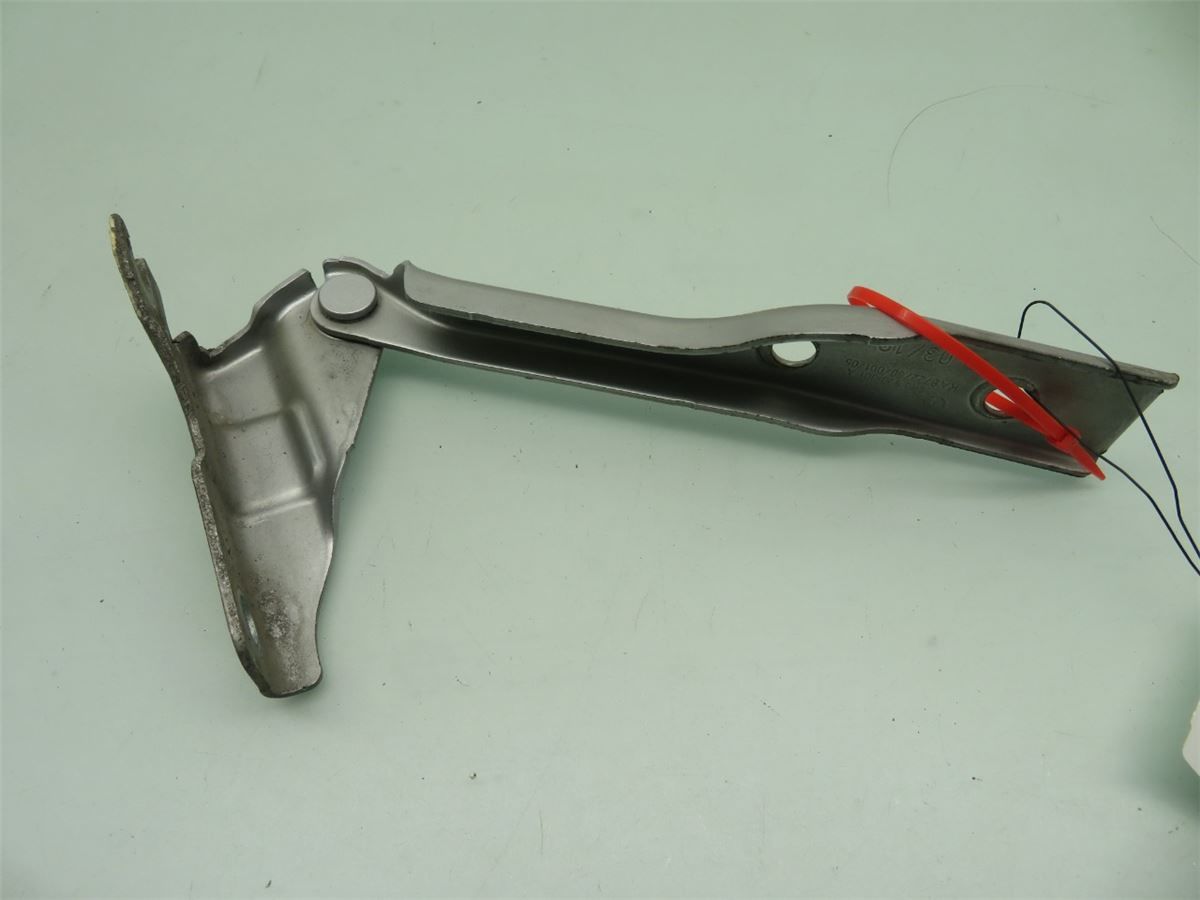 Panser Hengsel / Hengsler – bilde 1