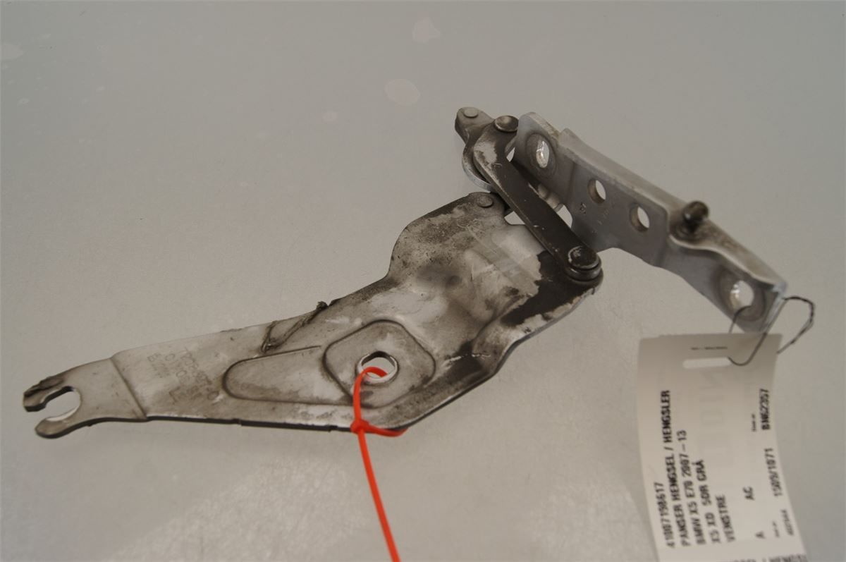 Panser Hengsel / Hengsler – bilde 1