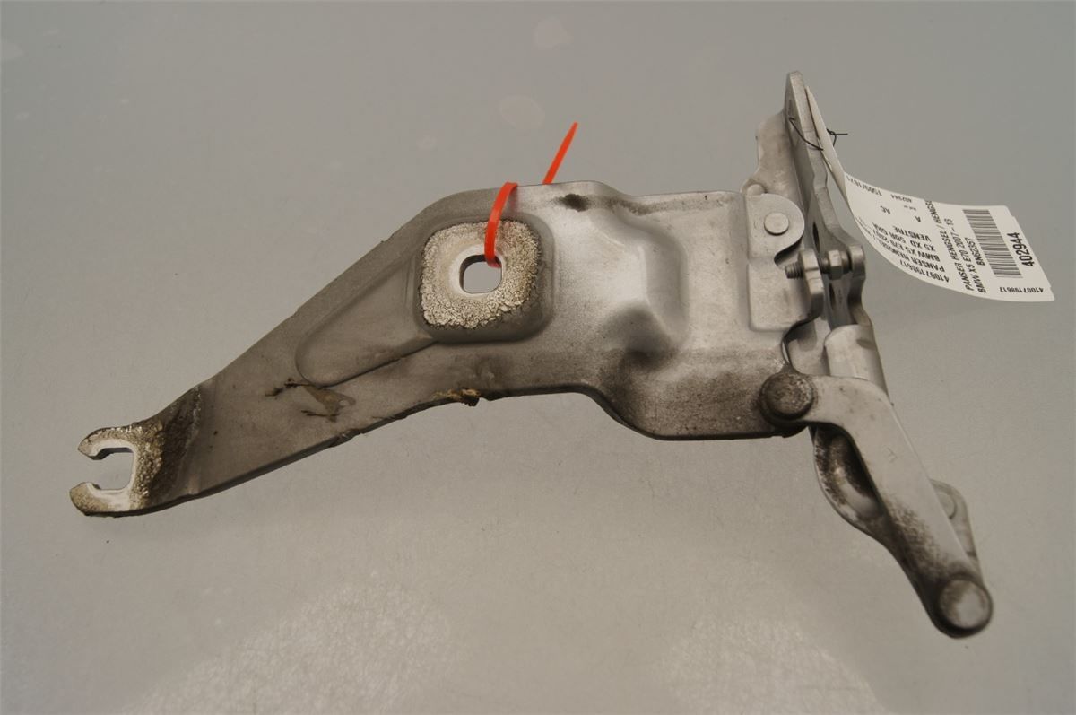 Panser Hengsel / Hengsler – bilde 2