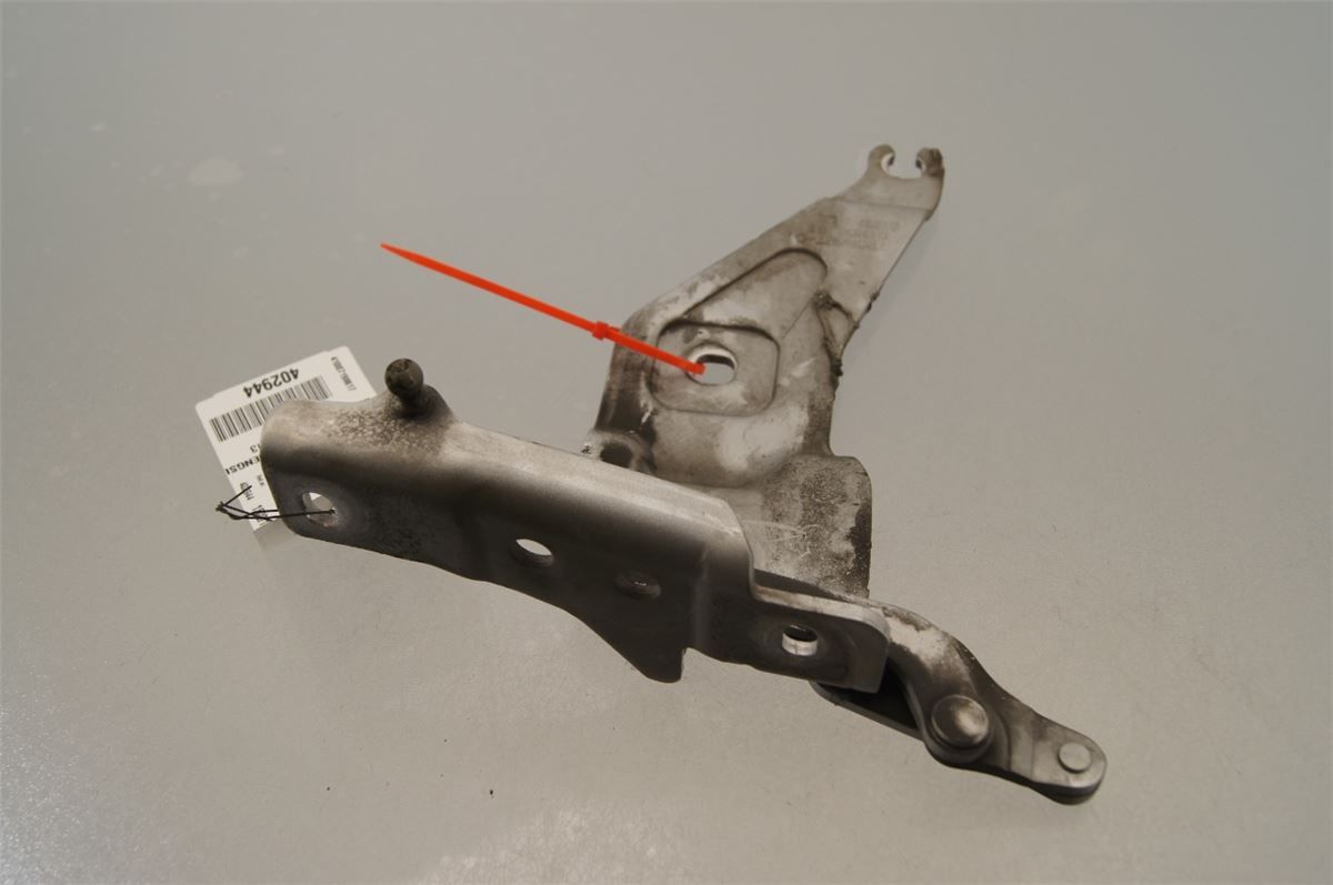 Panser Hengsel / Hengsler – bilde 3
