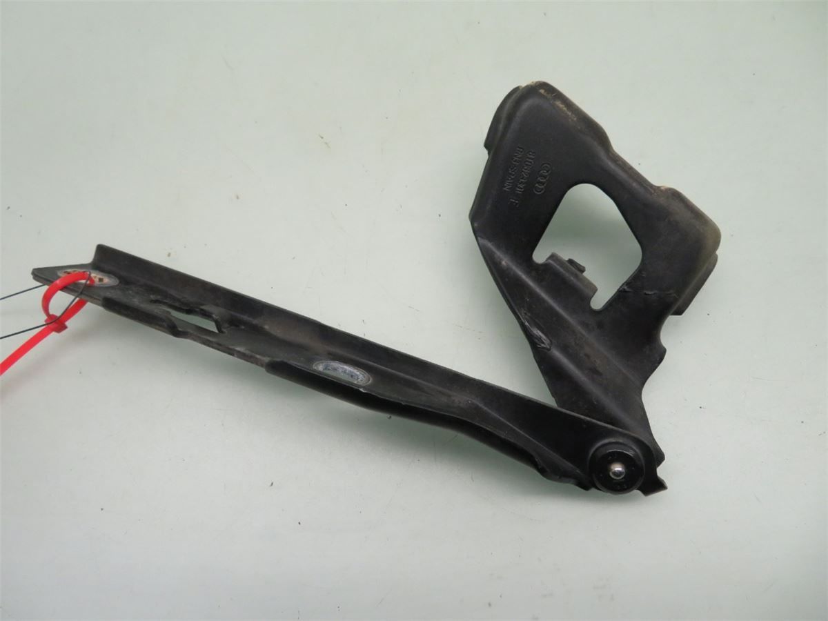 Panser Hengsel / Hengsler – bilde 2