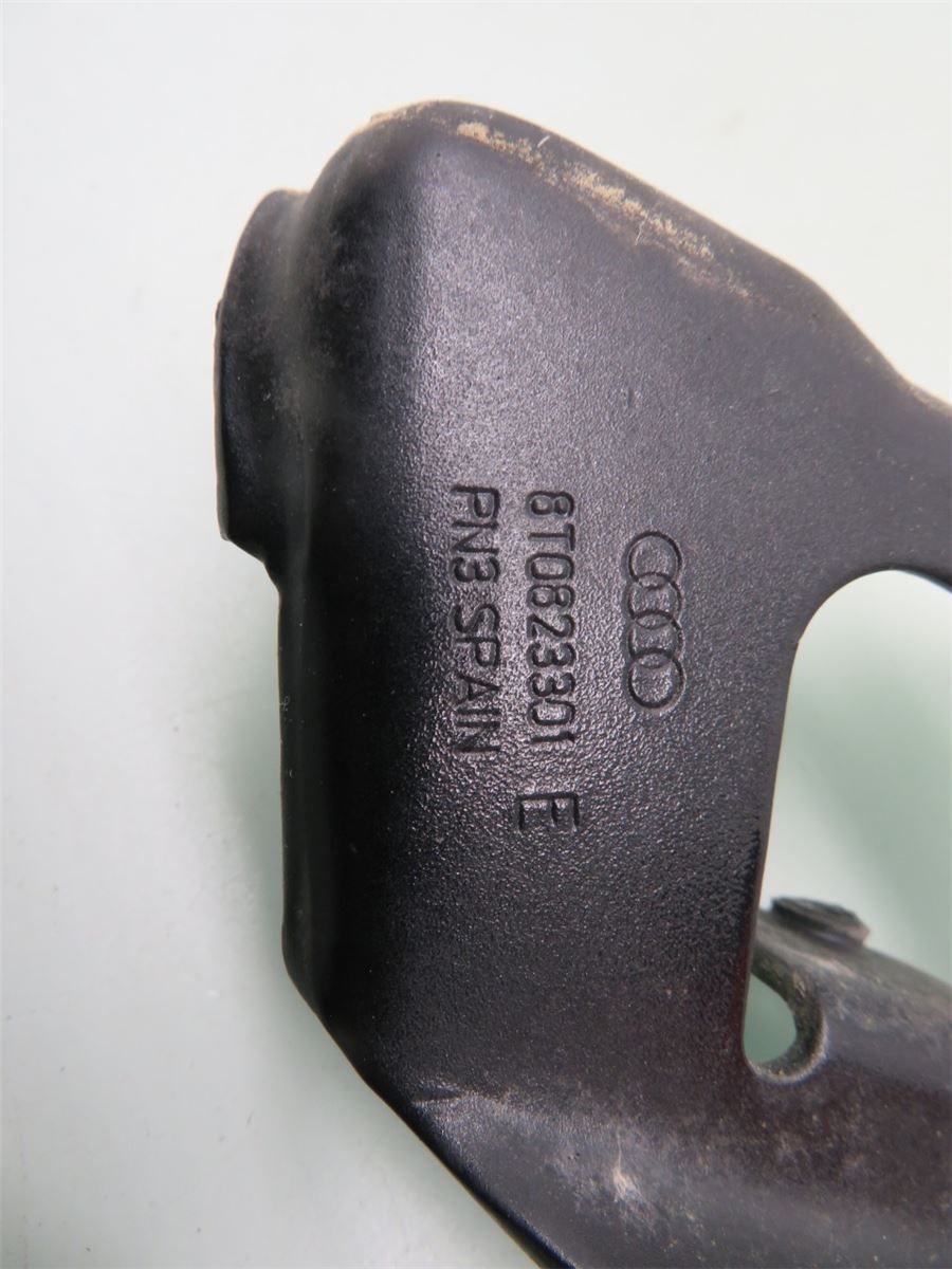 Panser Hengsel / Hengsler – bilde 3