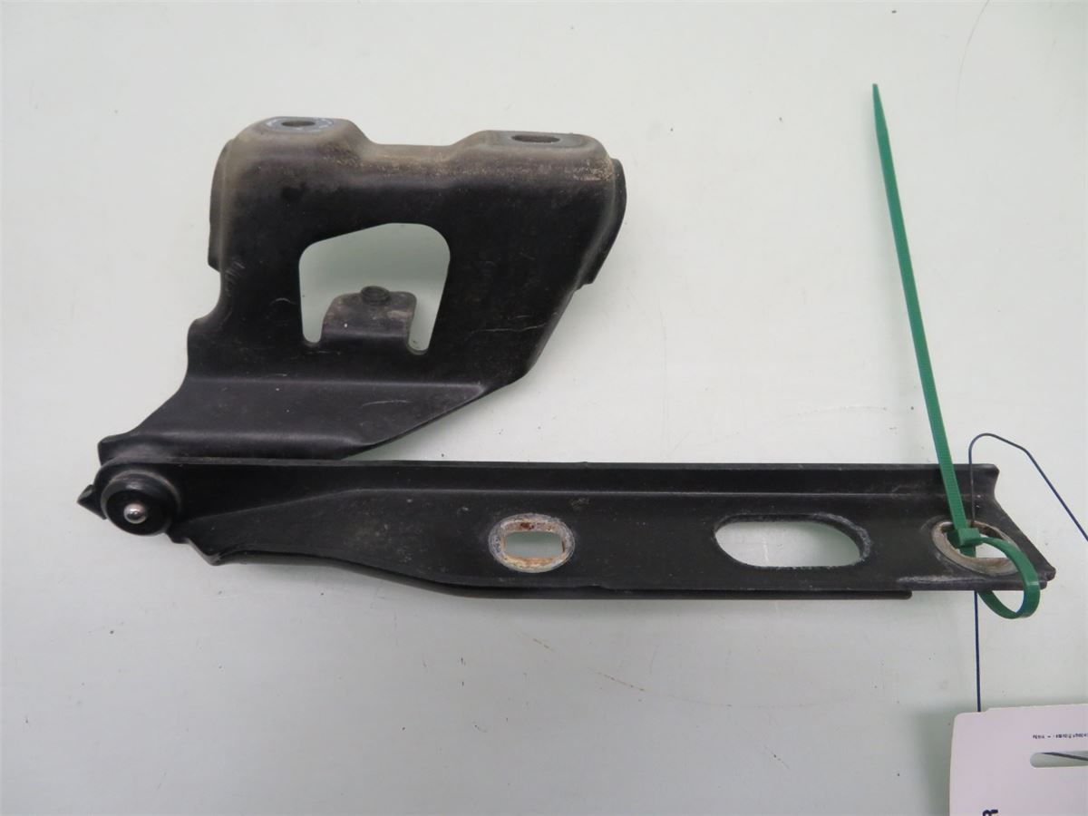 Panser Hengsel / Hengsler – bilde 1