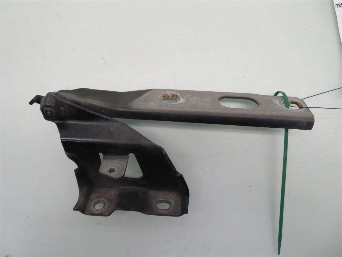 Panser Hengsel / Hengsler – bilde 2
