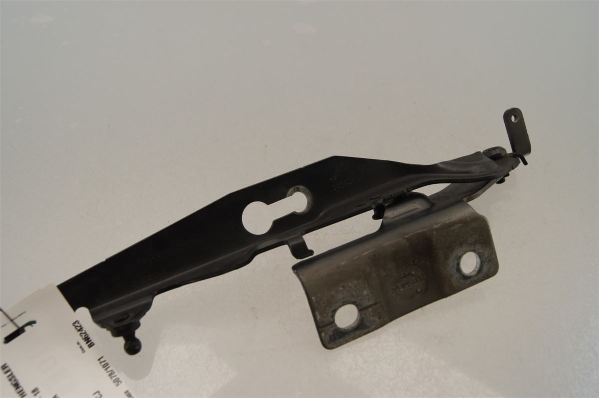 Panser Hengsel / Hengsler – bilde 1