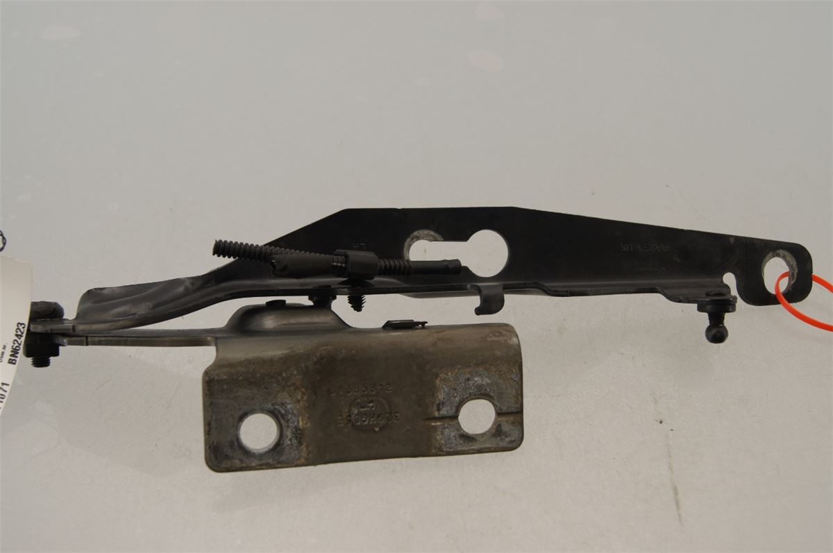 Panser Hengsel / Hengsler – bilde 1