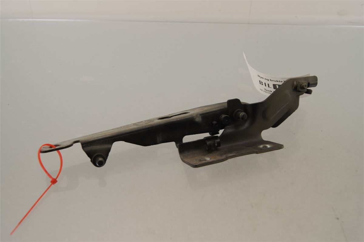 Panser Hengsel / Hengsler – bilde 3