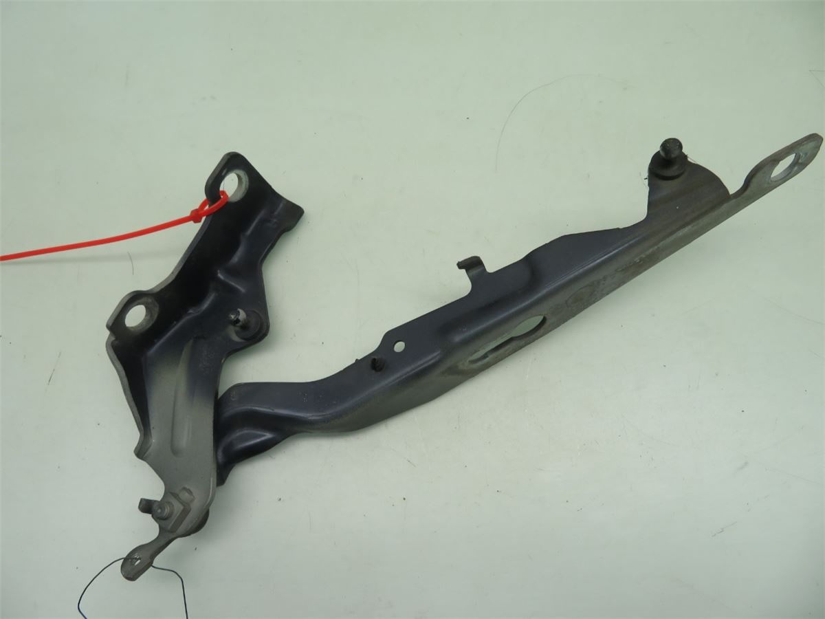 Panser Hengsel / Hengsler – bilde 1