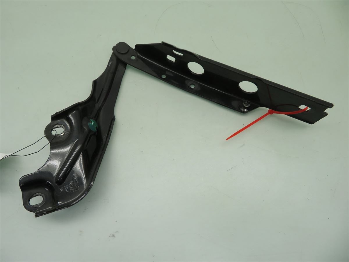 Panser Hengsel / Hengsler – bilde 1
