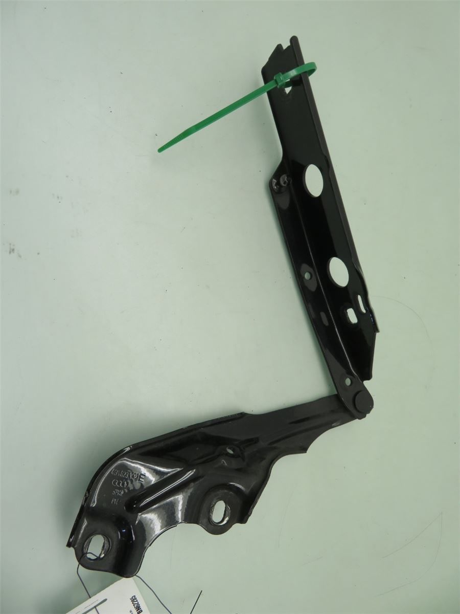 Panser Hengsel / Hengsler – bilde 1