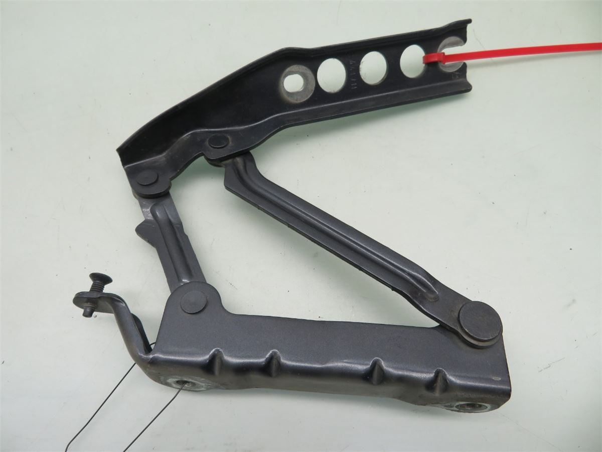 Panser Hengsel / Hengsler – bilde 1
