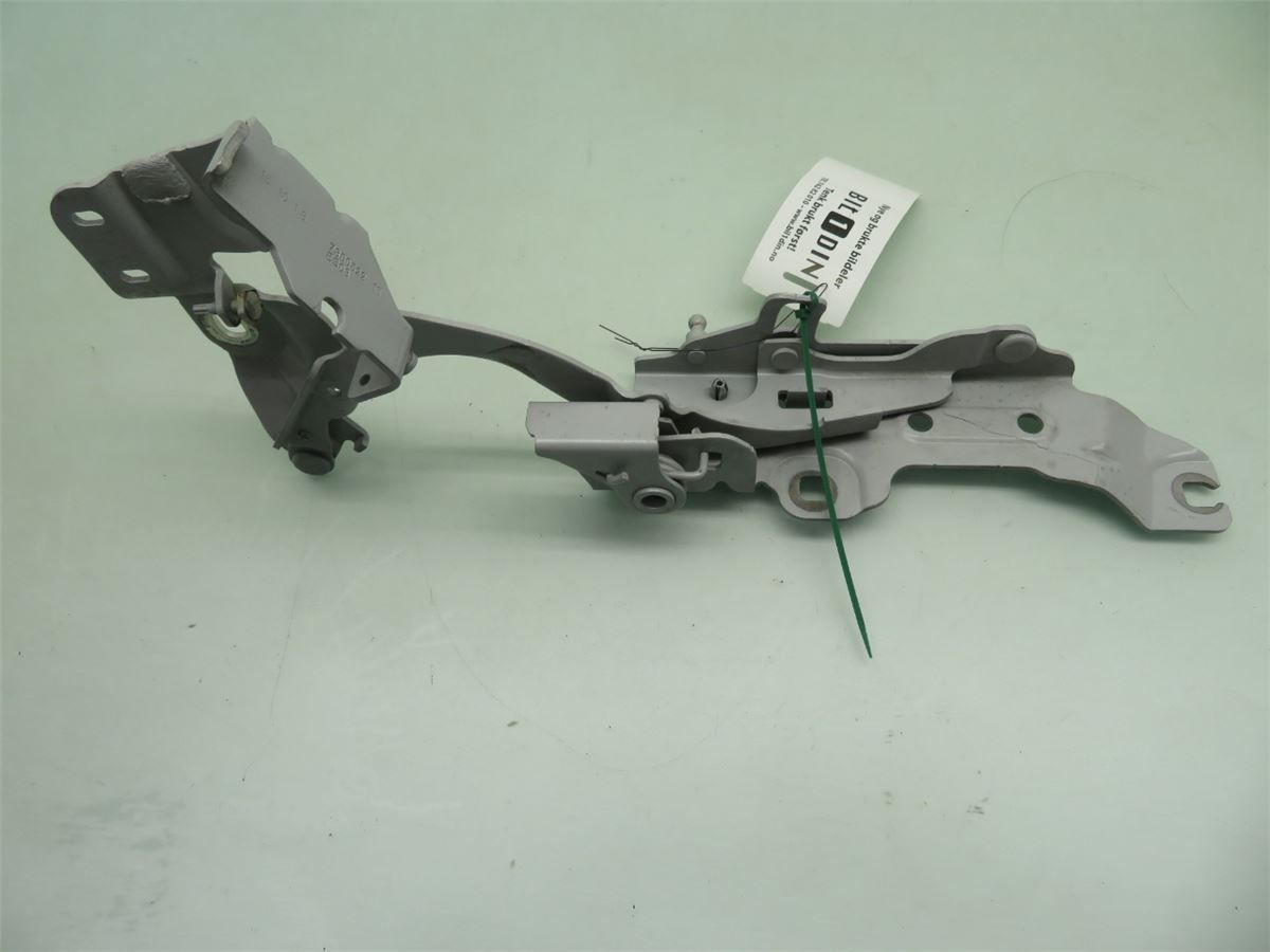 Panser Hengsel / Hengsler – bilde 1