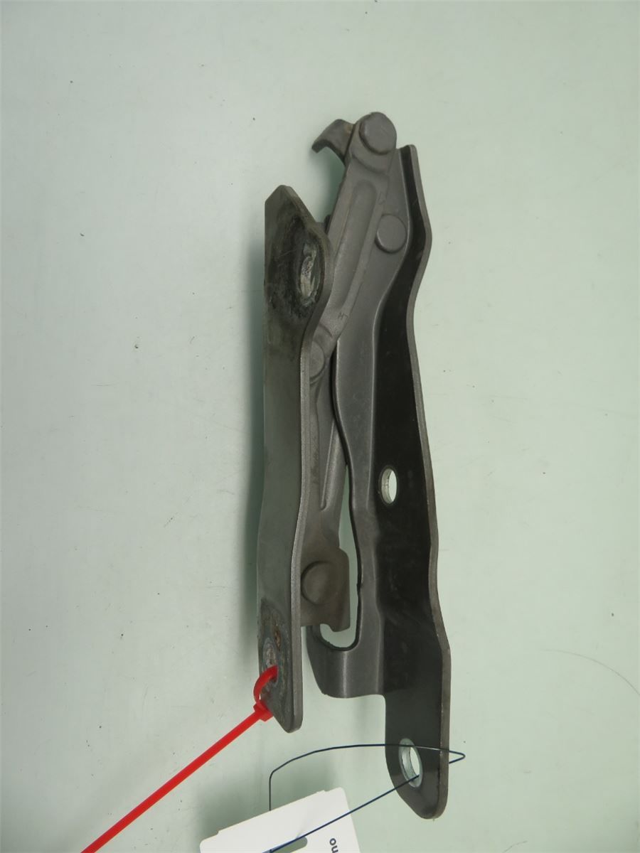 Panser Hengsel / Hengsler – bilde 1
