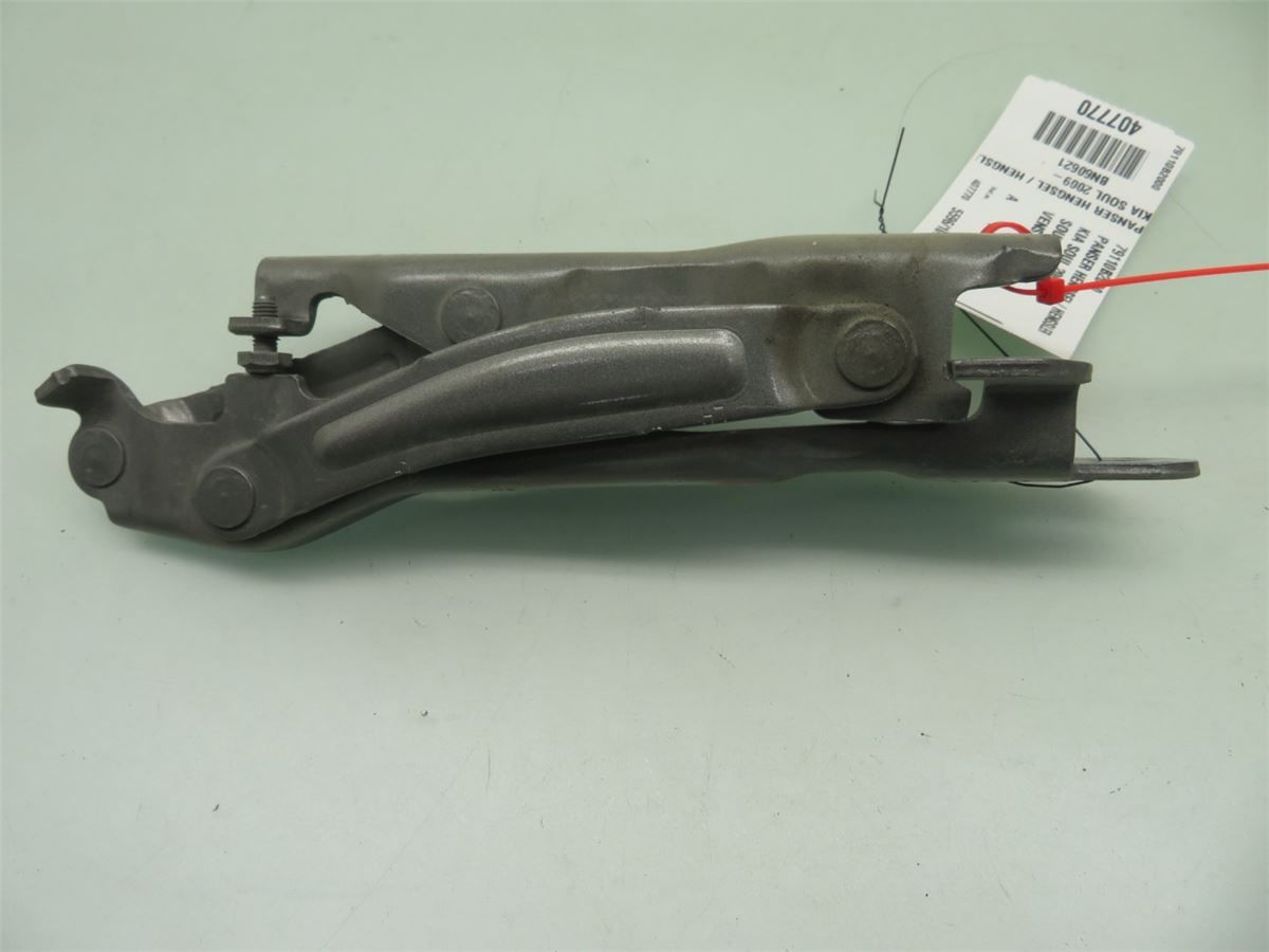 Panser Hengsel / Hengsler – bilde 2