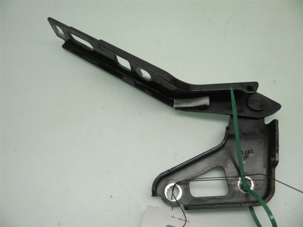 Panser Hengsel / Hengsler – bilde 1