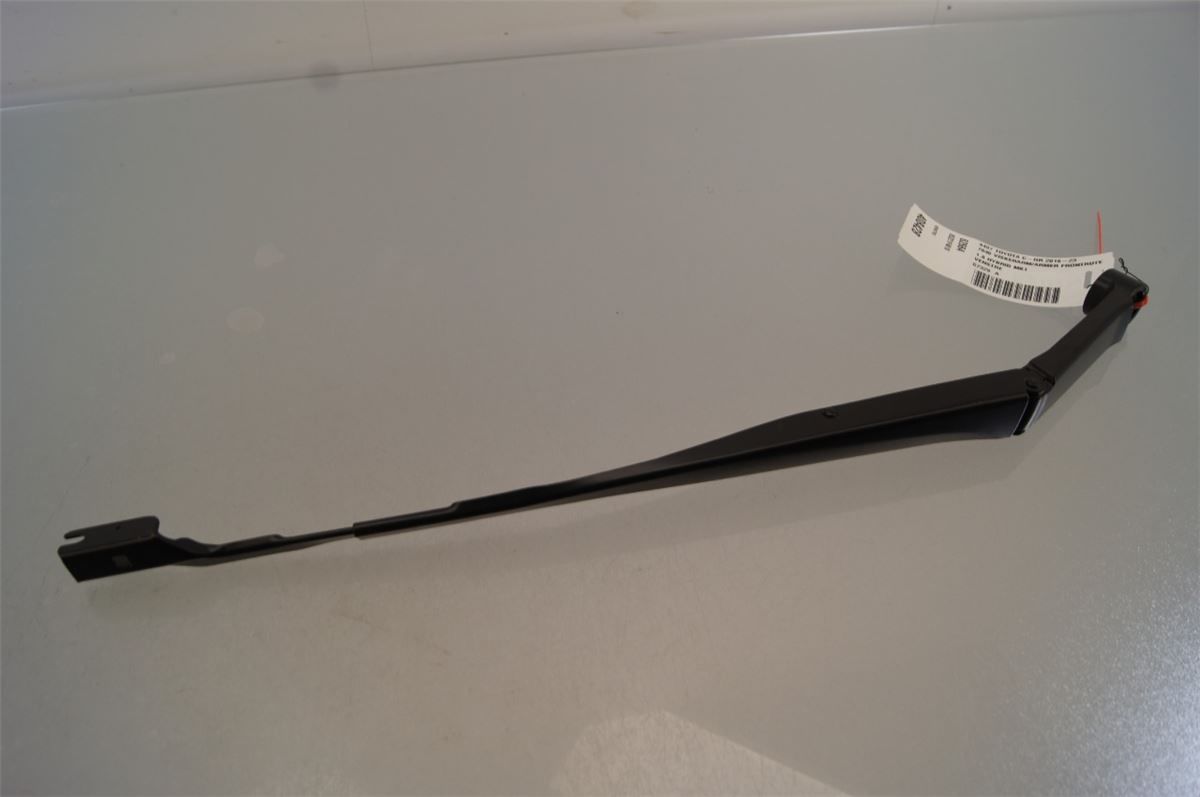 Viskerarm / Armer Frontrute – bilde 1