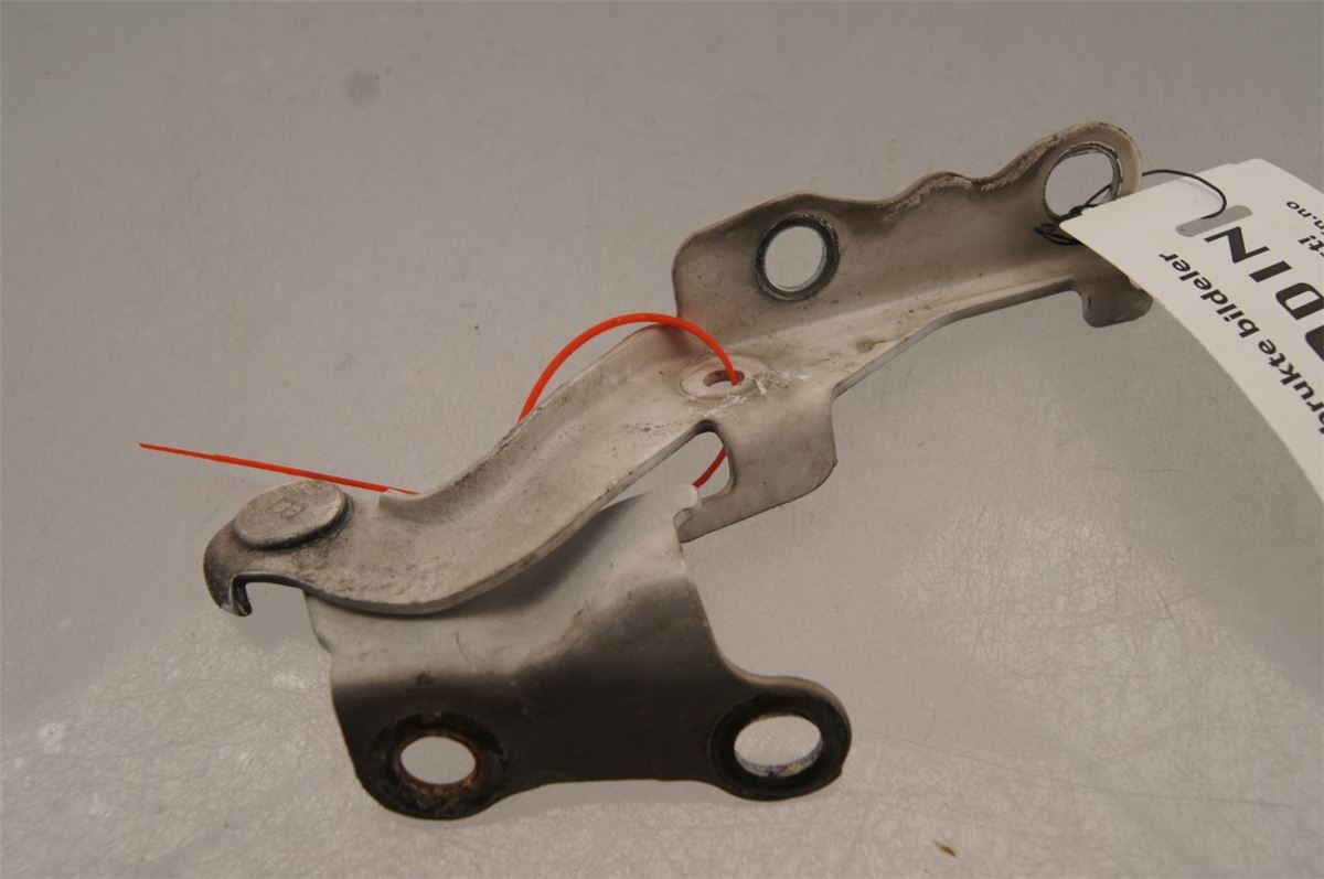 Panser Hengsel / Hengsler – bilde 1