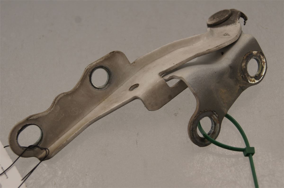 Panser Hengsel / Hengsler – bilde 1
