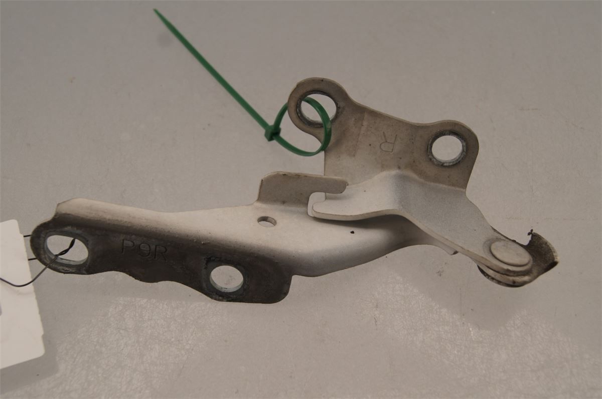 Panser Hengsel / Hengsler – bilde 2