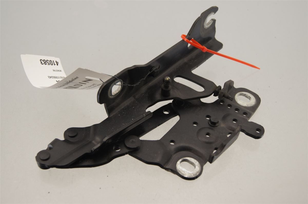 Panser Hengsel / Hengsler – bilde 1