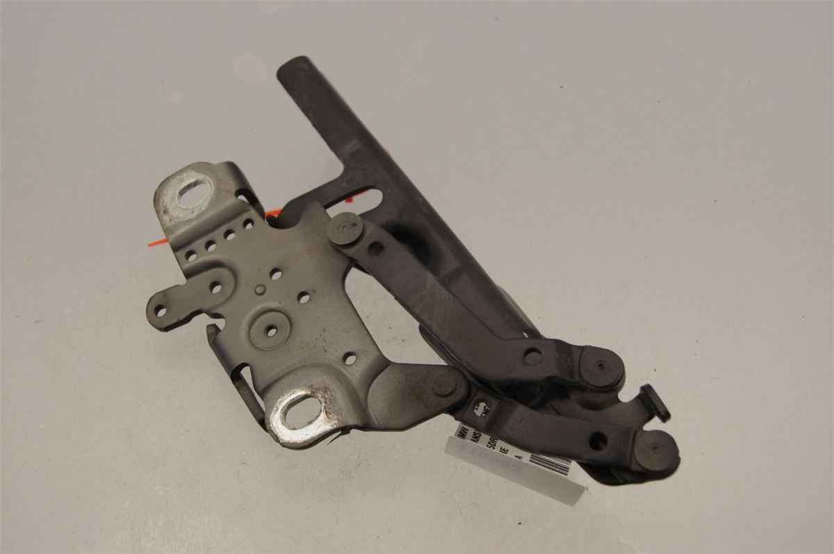 Panser Hengsel / Hengsler – bilde 2