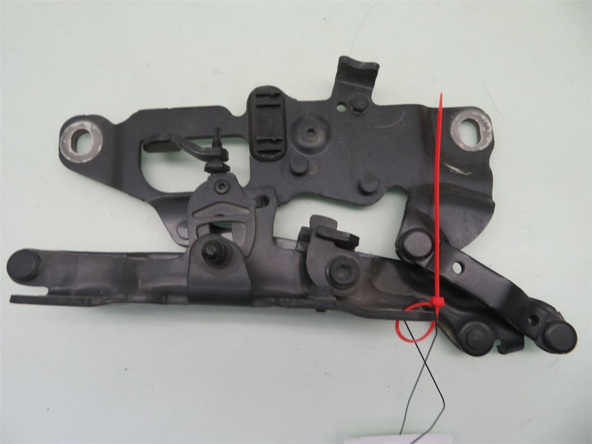 Panser Hengsel / Hengsler – bilde 1
