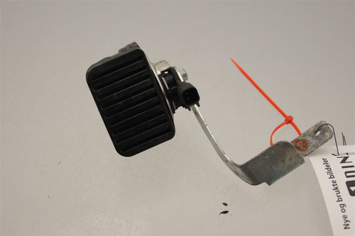 Signalhorn – bilde 2