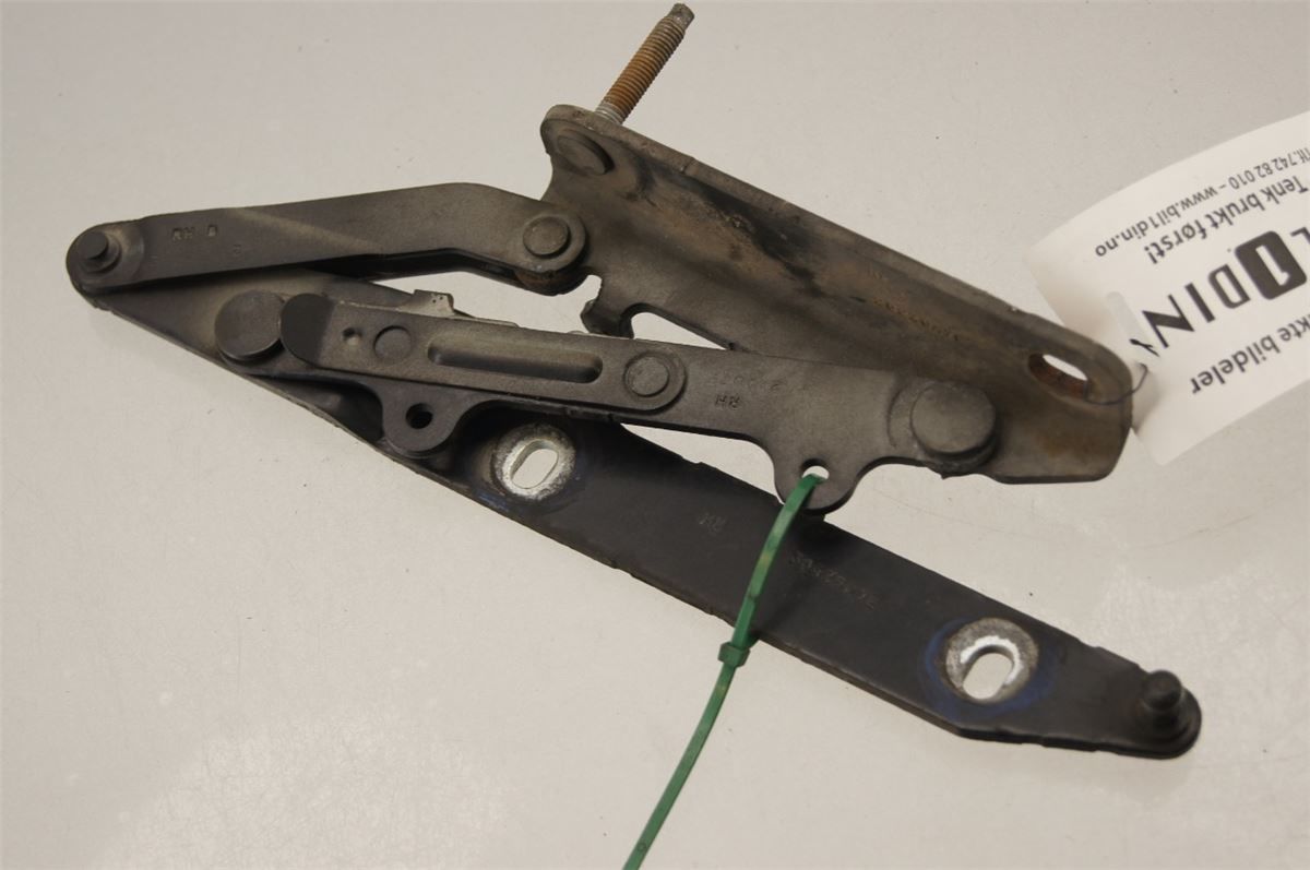 Panser Hengsel / Hengsler – bilde 2