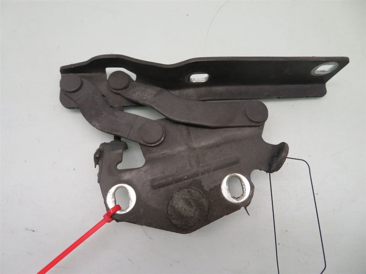 Panser Hengsel / Hengsler – bilde 1
