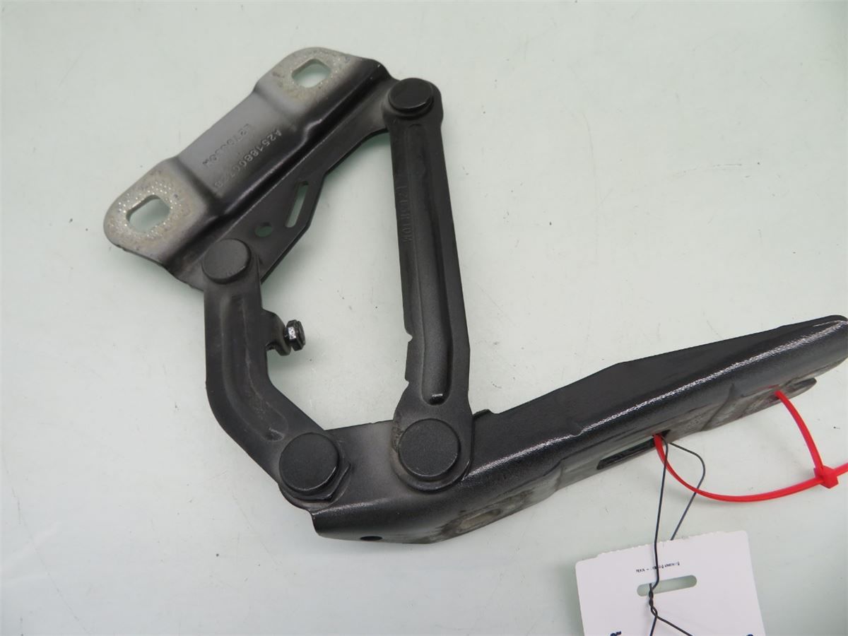 Panser Hengsel / Hengsler – bilde 1