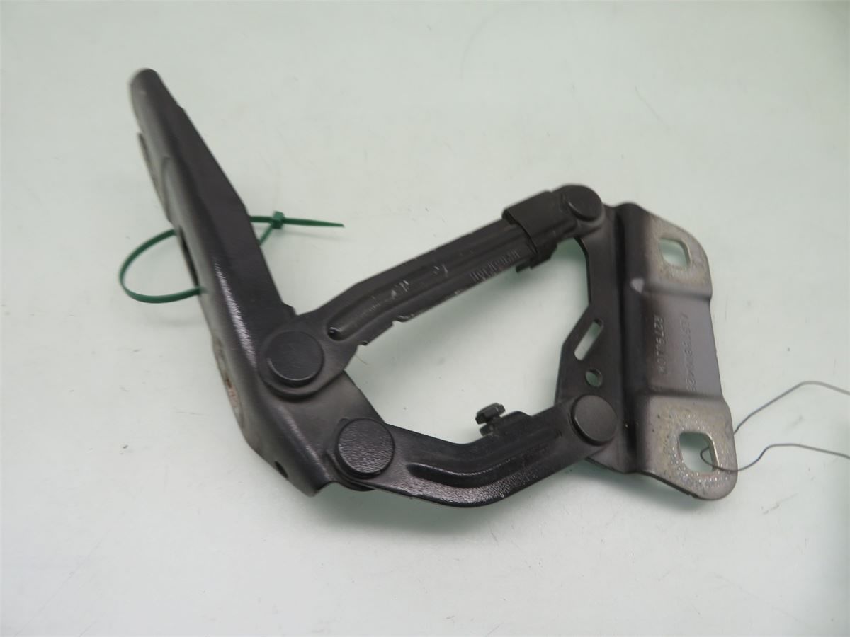 Panser Hengsel / Hengsler – bilde 2