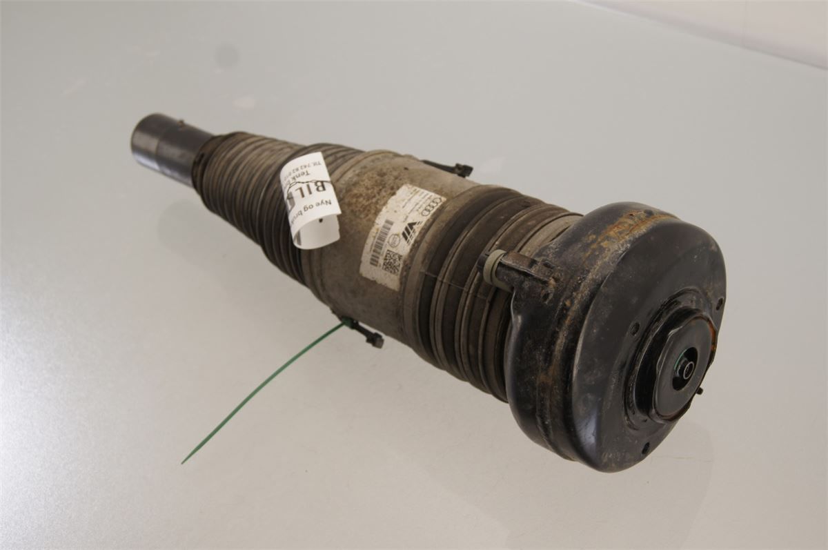 Fjærbein Foran Høyre – bilde 2