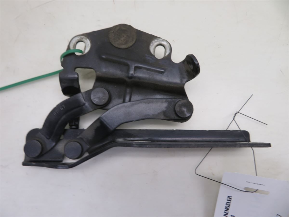 Panser Hengsel / Hengsler – bilde 1