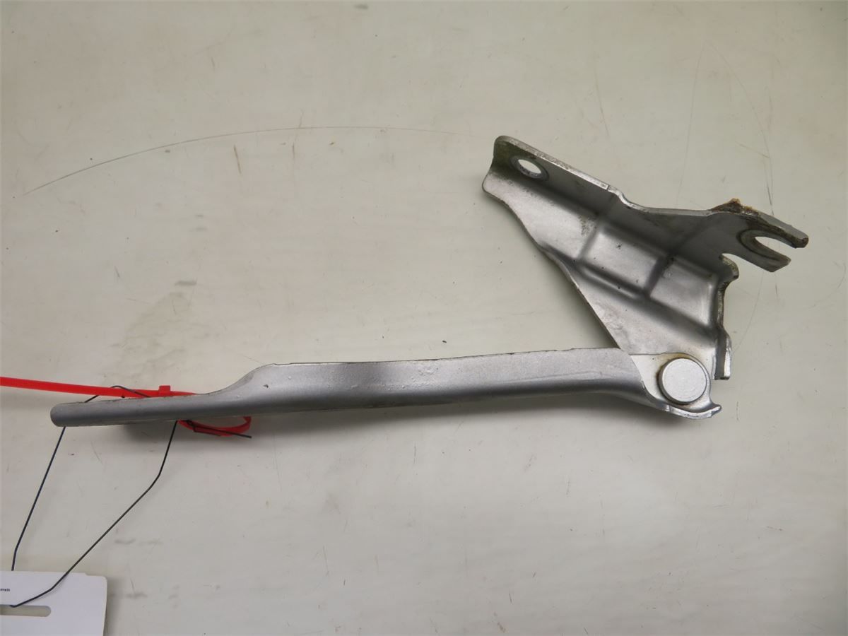 Panser Hengsel / Hengsler – bilde 1