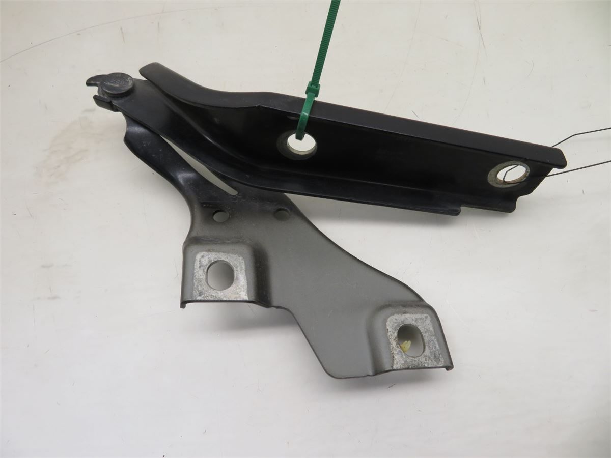 Panser Hengsel / Hengsler – bilde 1