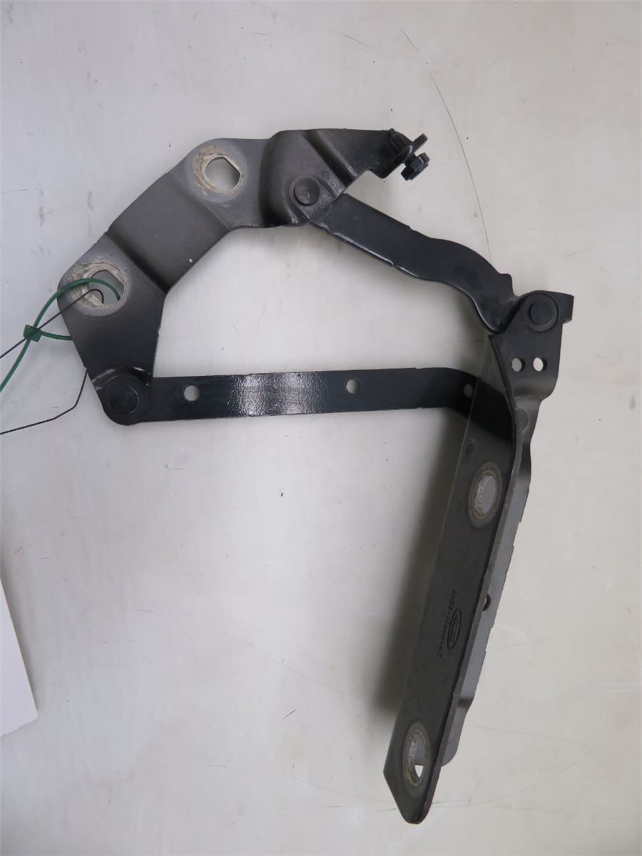 Panser Hengsel / Hengsler – bilde 1