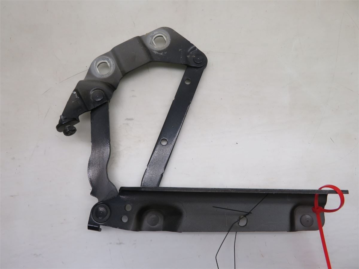 Panser Hengsel / Hengsler – bilde 1