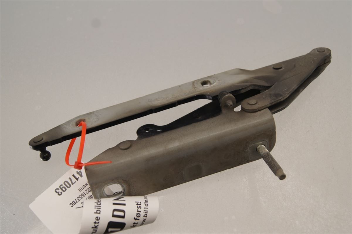Panser Hengsel / Hengsler – bilde 2