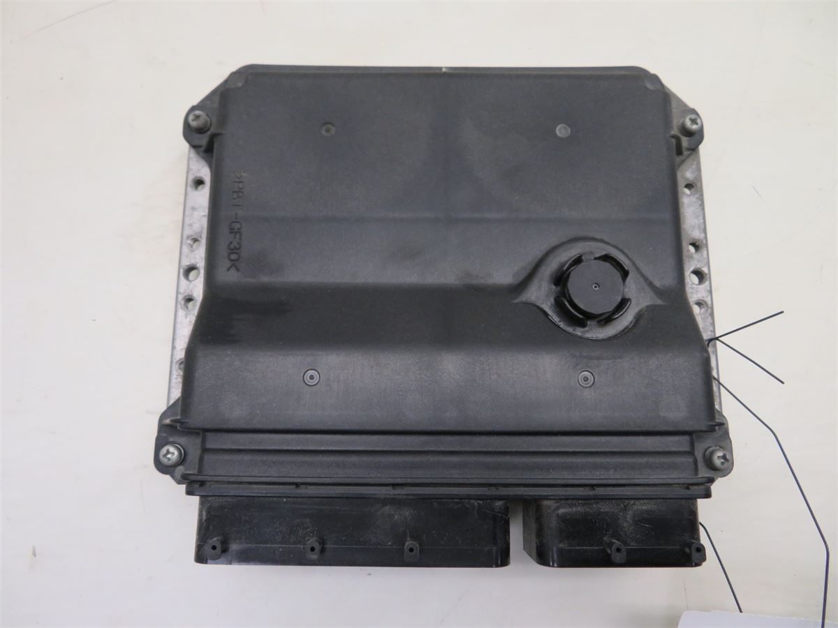 Styreenhet Motor (ECU) Bensin – bilde 1