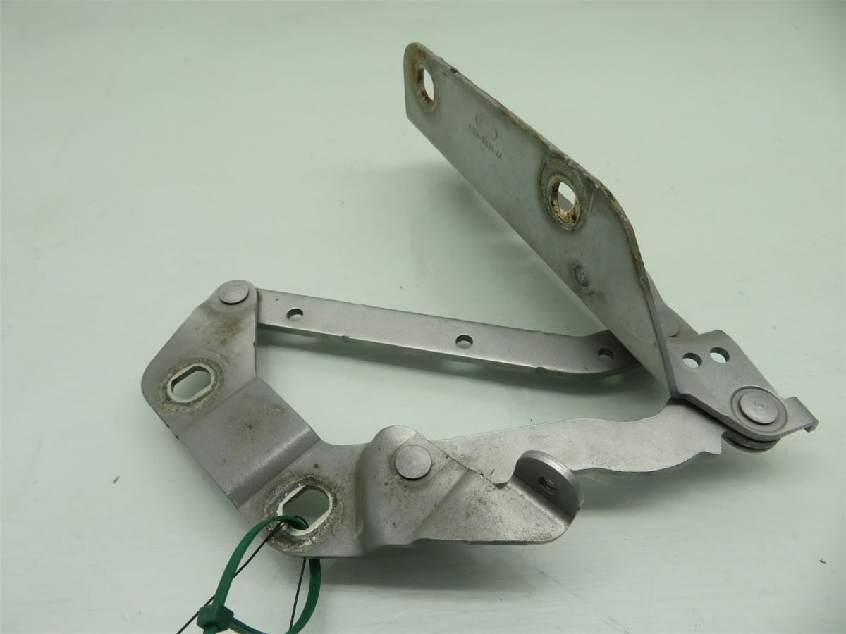 Panser Hengsel / Hengsler – bilde 1