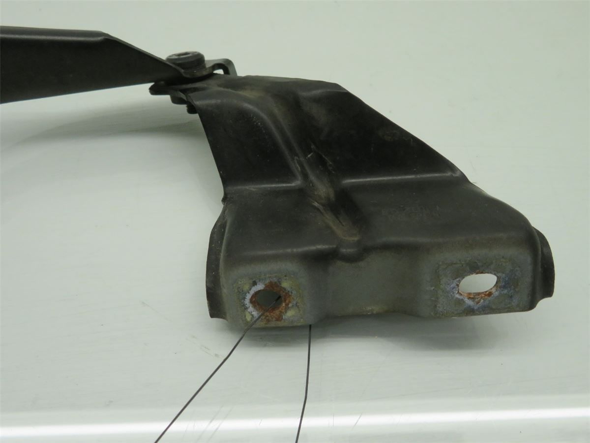 Panser Hengsel / Hengsler – bilde 2