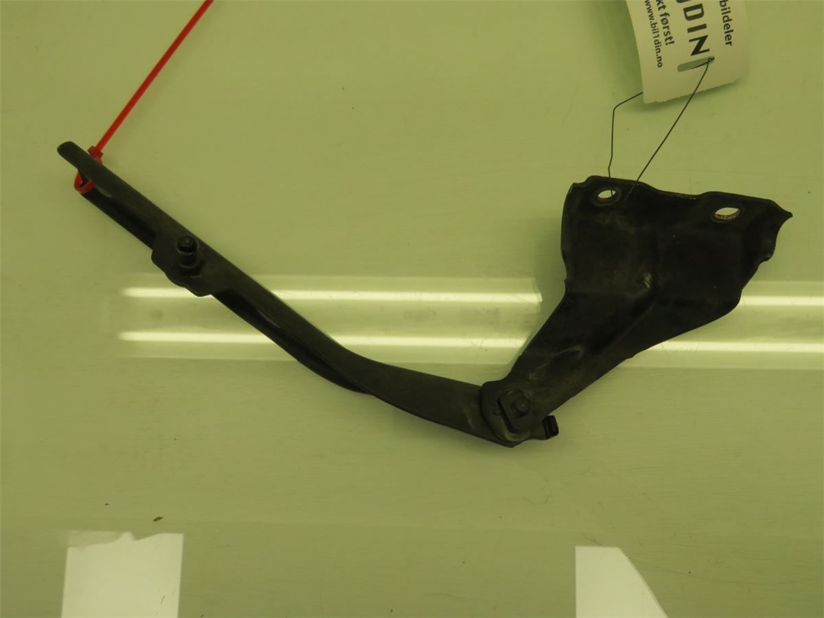Panser Hengsel / Hengsler – bilde 3