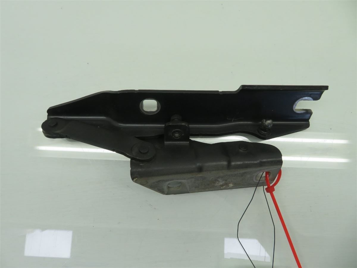 Panser Hengsel / Hengsler – bilde 1