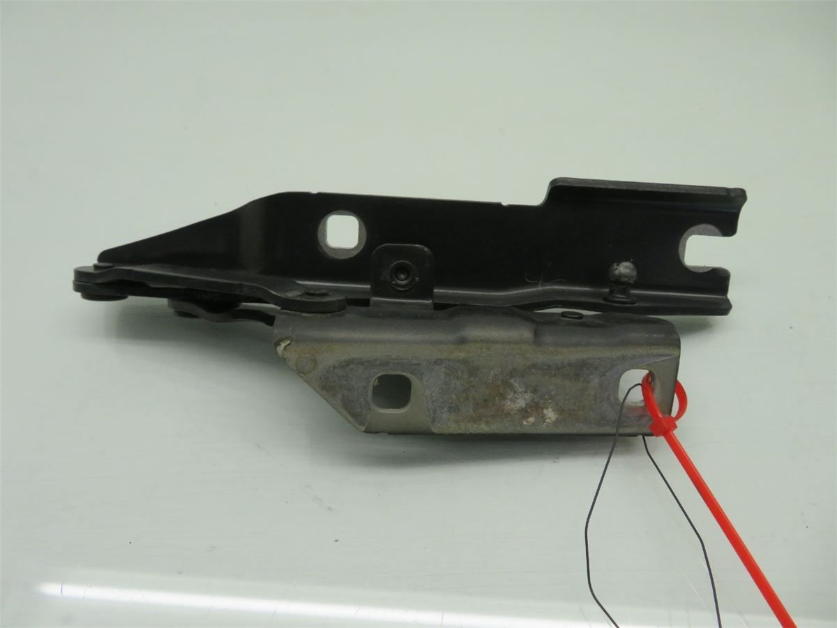 Panser Hengsel / Hengsler – bilde 2