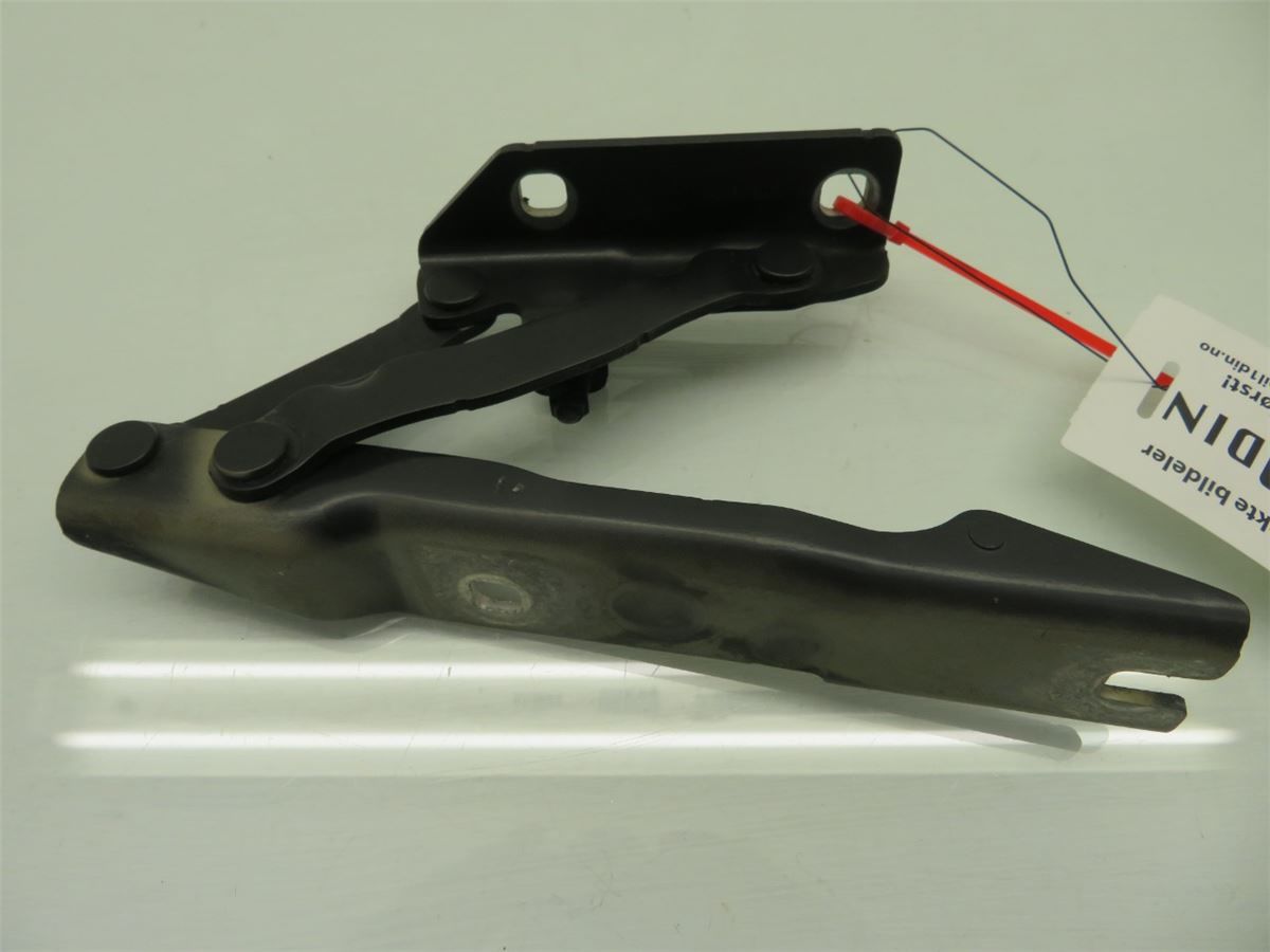 Panser Hengsel / Hengsler – bilde 3