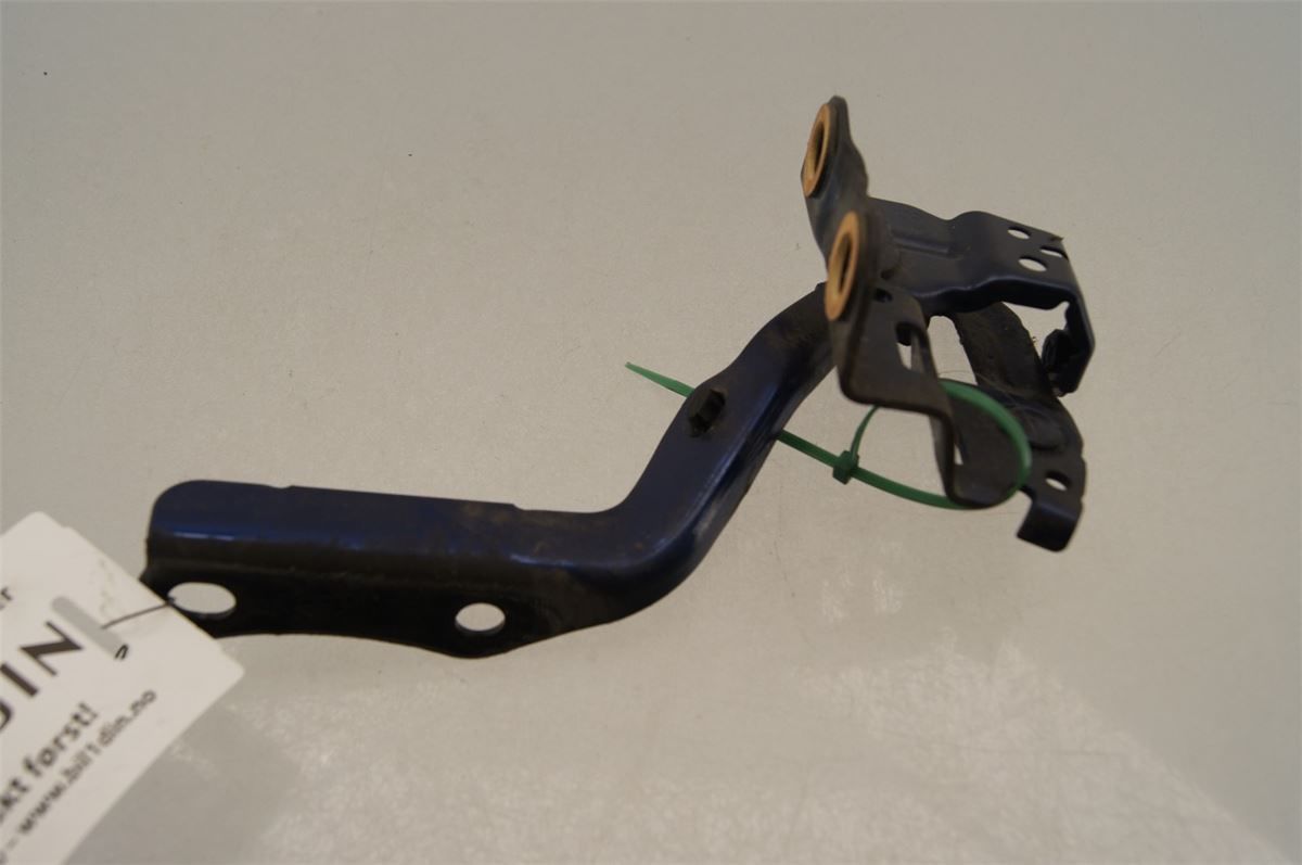 Panser Hengsel / Hengsler – bilde 1