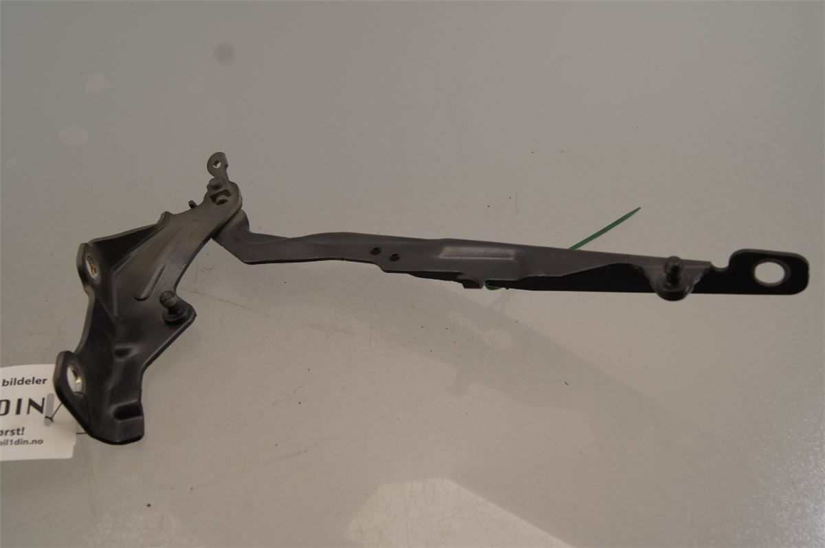 Panser Hengsel / Hengsler – bilde 1