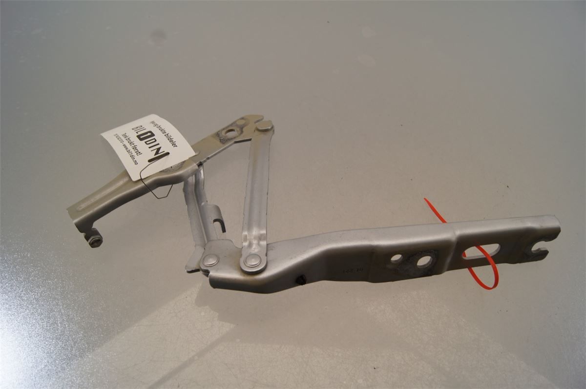 Panser Hengsel / Hengsler – bilde 1