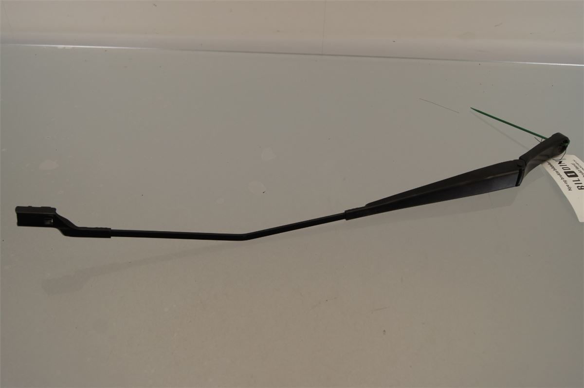Viskerarm / Armer Frontrute – bilde 1