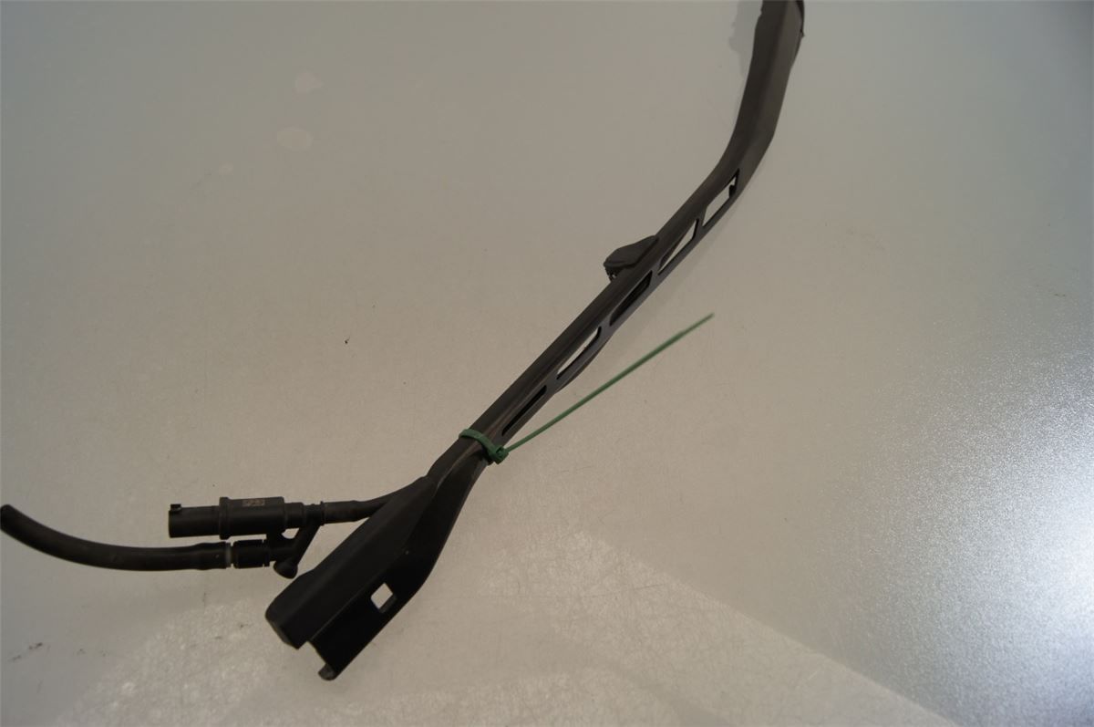 Viskerarm / Armer Frontrute – bilde 2